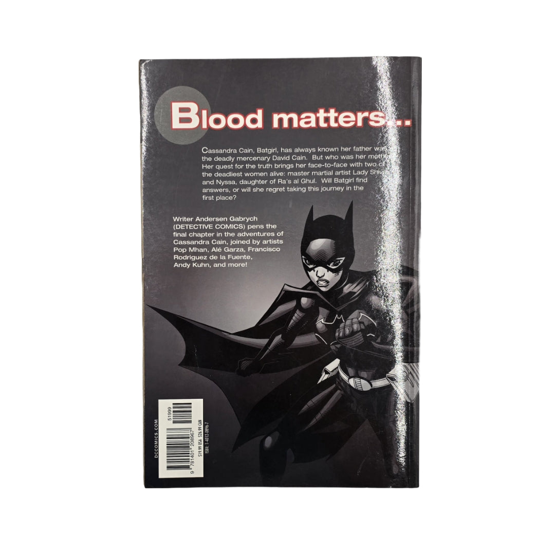 DC Comics - Batgirl: Destruction's Daughter Comic Book